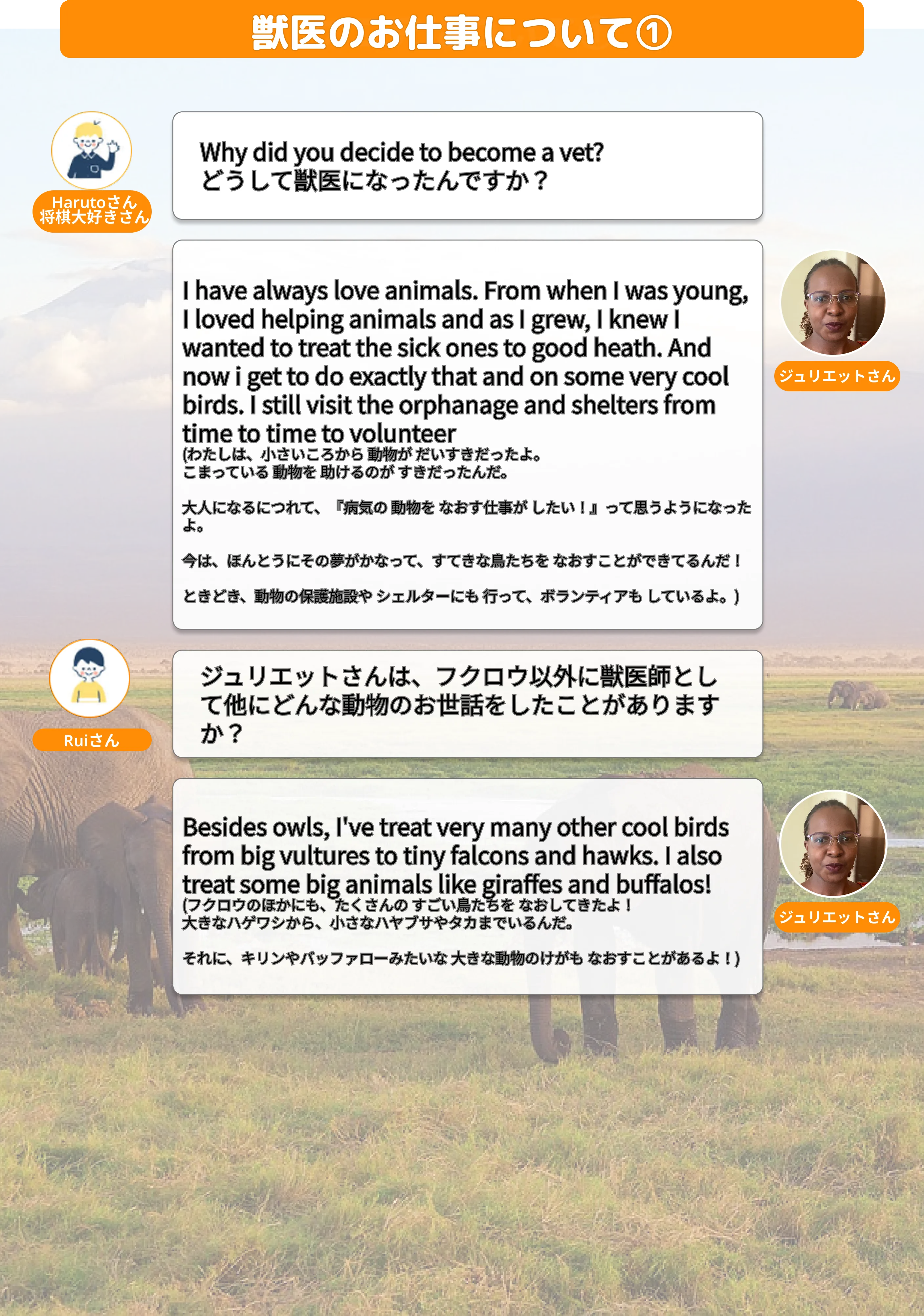 獣医のお仕事について