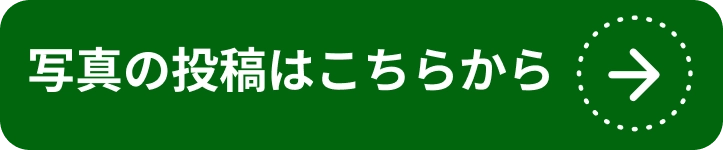 写真の投稿はこちらから