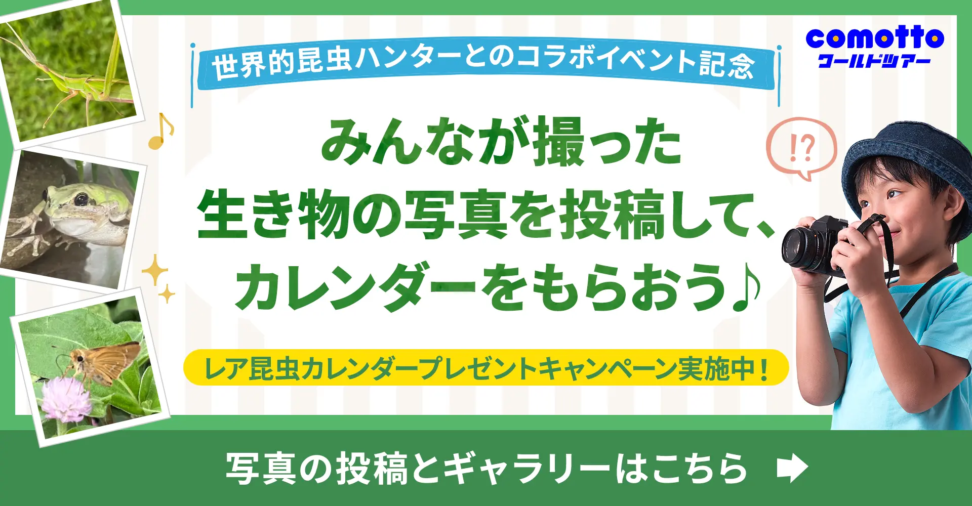 【自由研究ワークシート付】『comottoワールドツアー』夏休み特別企画！「話せる！会える！グローバル体験世界的昆虫ハンターによるBug Hunting」