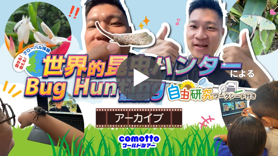 世界的昆虫ハンターによるBug Hunting アーカイブ