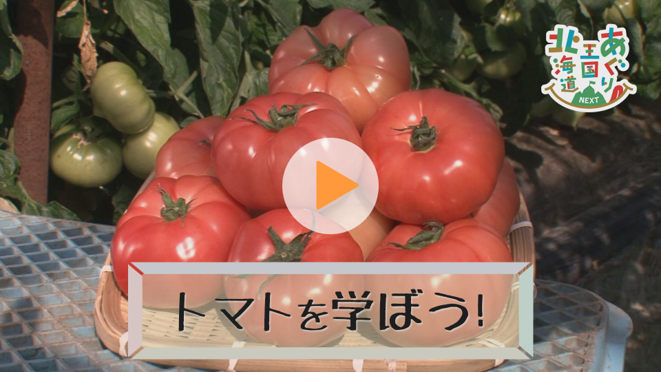トマトを学ぼう